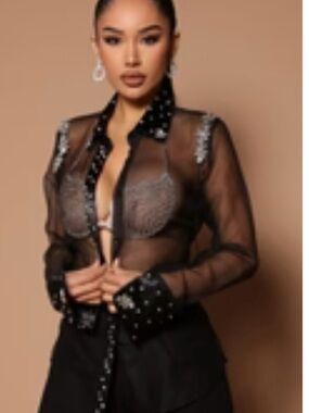 Sheer Black Embellished Mesh Button-Up Blouse